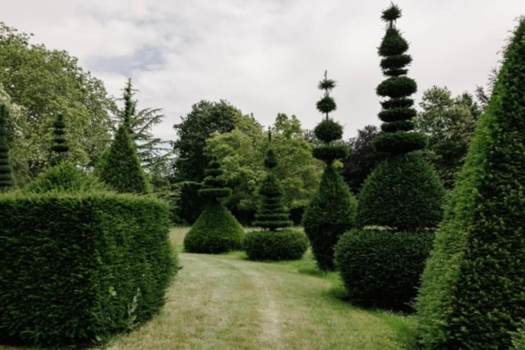 Cressy Hall - Historic Grade II Listed Manor, Gorgeous Topiary Garden Gosberton Exteriér fotografie